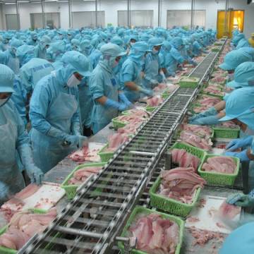 Sản phẩm thủy sản lần đầu tiên xuất khẩu sang Trung Quốc phải đăng ký