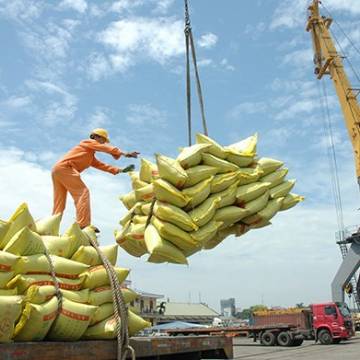 Đón đầu cơ hội xuất khẩu gạo với Nghị định 107