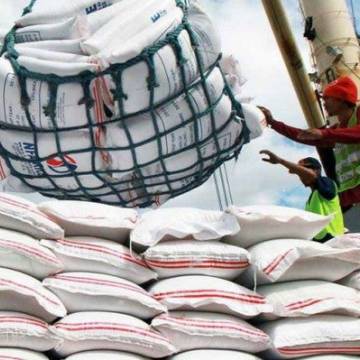 Xuất khẩu gạo đạt trên 3 tỷ USD