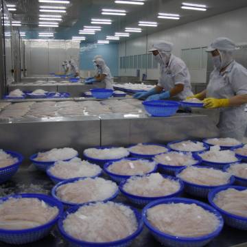Xuất khẩu cá tra vào thị trường Trung Quốc ước tăng 2 con số