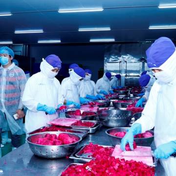 Mở đường cho rau, quả chế biến Việt vào thị trường Nhật