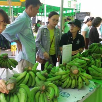 Ba khúc mắc khiến nông sản Việt khó ra thế giới