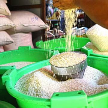 Xuất khẩu gạo rộng cửa quý đầu năm 2019