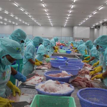 CPTPP: Nhật Bản xóa bỏ 86% thuế quan từ Việt Nam, thủy sản về 0%