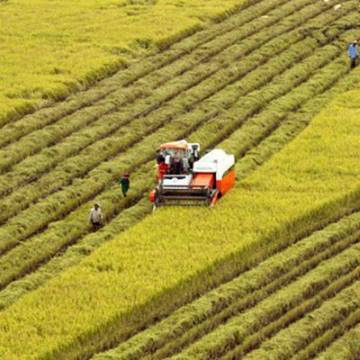 Đầu tư vào nông nghiệp: Tiếp cận đất đai đang là cản trở lớn
