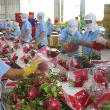 Thay đổi tư duy khi xuất khẩu nông sản vào thị trường Trung Quốc