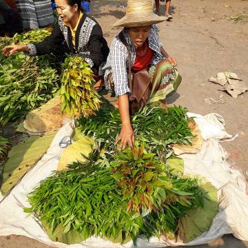 Đi xem người Miến Điện làm tiêu chuẩn an toàn thực phẩm