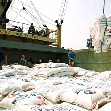Giá gạo xuất khẩu 6 tháng đầu năm giảm 15% so với cùng kỳ