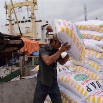 Hơn 330.000 tấn phân bón được nhập khẩu về Việt Nam trong tháng 2