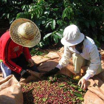Trung Quốc đang có nhu cầu lớn với cà phê, thủy sản Việt Nam