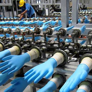 Top Glove mở nhà máy tại Việt Nam