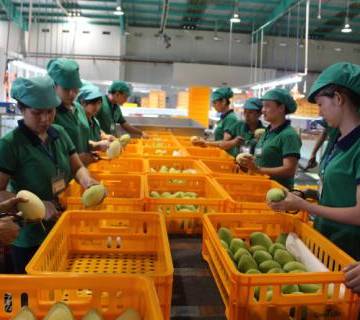 EU bắt đầu kiểm tra chặt chẽ nông sản Việt Nam từ 1/9