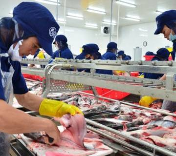 Thuế xuất khẩu cá tra Việt Nam vào Mỹ giảm về 0%