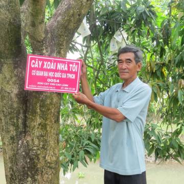 ‘Cây xoài nhà tôi’ – một kiểu kinh doanh lạ ở Mekong