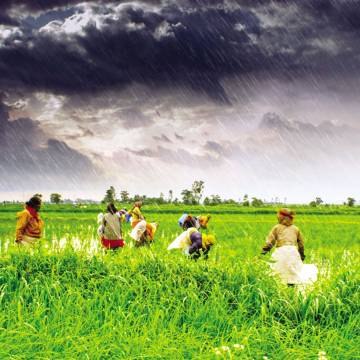 Trò chuyện với chuyên gia Hoa Kỳ về nông nghiệp Ấn Độ