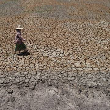 Thái Lan: Hạn hán và xâm nhập mặn ảnh hưởng nặng nề đến người dân