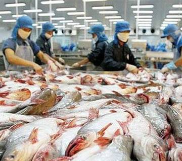 Bộ Nông nghiệp Mỹ tiếp tục thanh tra cá tra Việt Nam