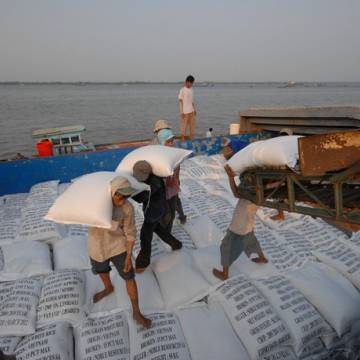Xuất khẩu gạo tăng vọt trong đại dịch Covid-19