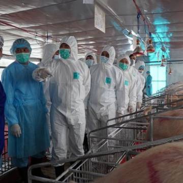 Bộ trưởng Nguyễn Xuân Cường sẽ yêu cầu 17 tập đoàn giảm giá thịt heo