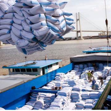 Đề xuất phương án xuất khẩu 400.000 tấn gạo trong tháng 4