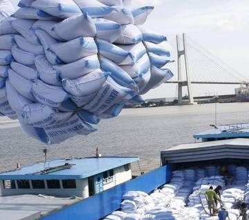 EU công bố hạn ngạch nhập khẩu nông sản và gạo Việt Nam theo EVFTA