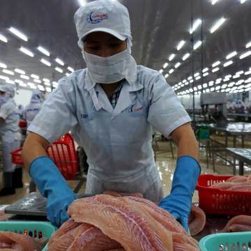 Xuất khẩu cá tra vào thị trường Trung Quốc giảm gần 30%