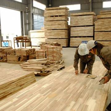 Kiểm tra việc áp dụng mã HS đối với mặt hàng gỗ cao su xuất khẩu