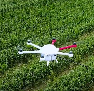 Chăm sóc cánh đồng lớn với Drone AI