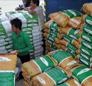 Gạo thơm Campuchia sẽ có giá cạnh tranh với gạo Việt Nam và Thái Lan