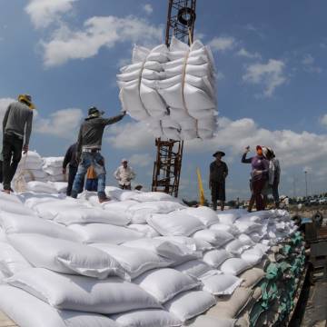 Giá gạo Việt Nam và Thái Lan giảm, gạo Ấn Độ tăng mạnh