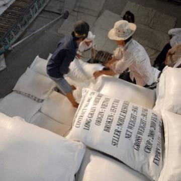 Làm tốt việc xuất khẩu gạo sang EU sẽ nâng tầm gạo Việt