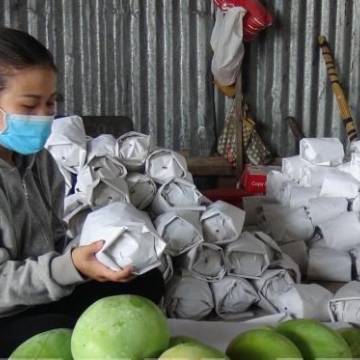 Campuchia xuất khẩu lô xoài tươi đầu tiên sang thị trường Trung Quốc