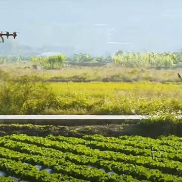 Trung Quốc kêu gọi nhân tài công nghệ về quê phát triển nông thôn