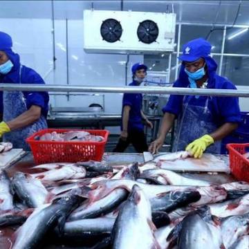 Indonesia đặt mục tiêu xuất khẩu thủy sản đạt 6,05 tỷ USD năm 2021