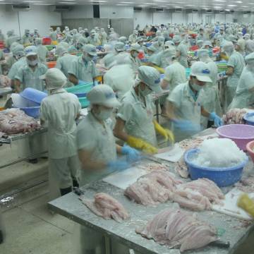 Trung Quốc tiếp tục ‘gây khó khăn’ cho thủy sản xuất khẩu Việt Nam