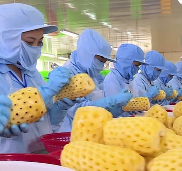 Việt Nam là thị trường xuất khẩu rau quả đã qua chế biến lớn thứ 9 toàn cầu