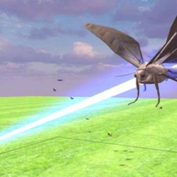 Nhật Bản phát triển thiết bị laser diệt côn trùng, giảm sử dụng thuốc trừ sâu