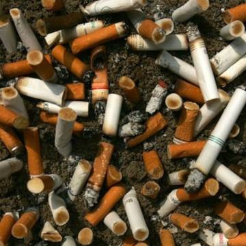 WHO kêu gọi các nước xem đầu lọc thuốc lá như nhựa sử dụng một lần
