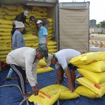 Gạo Việt Nam rộng cửa xuất khẩu sang các nước ASEAN