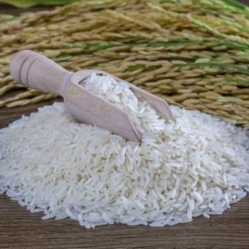 Lần đầu tiên gạo ST25 của Việt Nam có mặt tại thị trường Nhật Bản