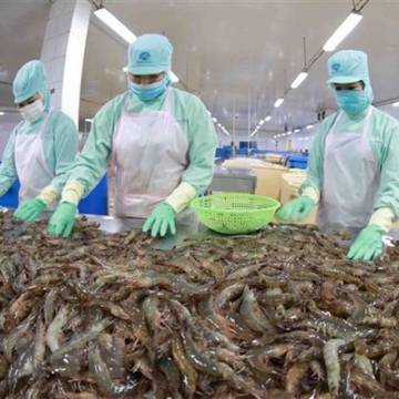 Lạm phát châu Âu ảnh hưởng đến xuất khẩu thủy sản Việt Nam