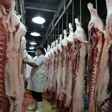 Vì sao thịt heo khó xuất khẩu?