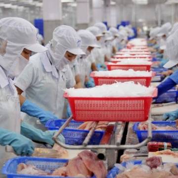 Thái Lan, thị trường nhiều triển vọng cho xuất khẩu cá tra 2023
