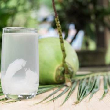 Tìm hiểu các sản phẩm nước dừa Tingco được ưa chuộng
