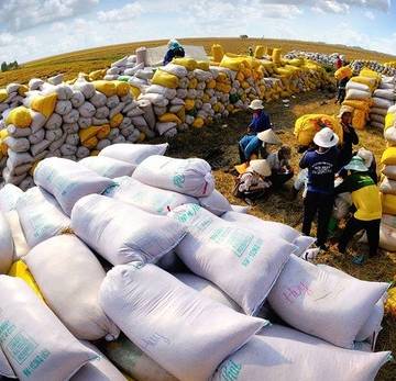 Bộ NN-PTNT kiến nghị Thủ tướng ra chỉ thị tăng cường xuất khẩu gạo
