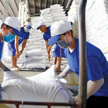 Doanh nghiệp xuất khẩu gạo tận dụng ‘thời cơ chưa từng có’