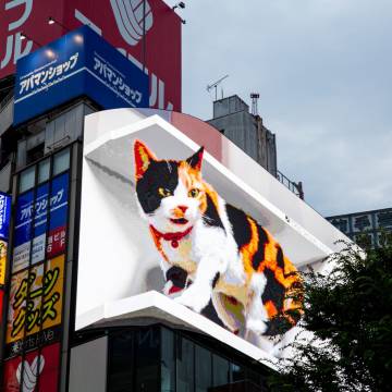 Quảng cáo hiện đại: biển quảng cáo 3D