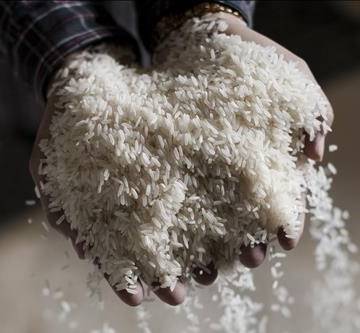 Thị trường 24/7: Giá gạo xuất khẩu tăng lên mức 663 USD/tấn; Hơn 2,87 tỷ USD vốn ngoại rót vào BĐS